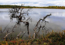 8 Kirill Konovalov Yagodnoye lake.JPG